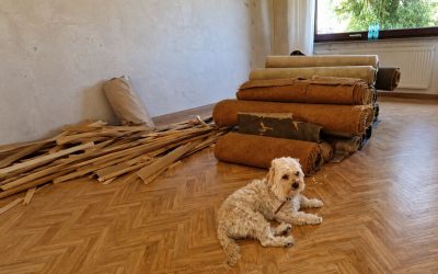 Sanierungskosten Immobilie richtig kalkulieren | Guide